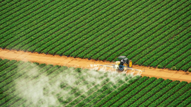 Best Emergency Pest Control  in Mulberry, AR