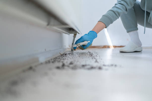 Best Pest Prevention Services  in Mulberry, AR